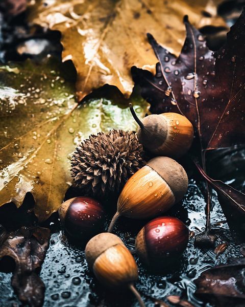 Ambiance automnale par fernlichtsicht