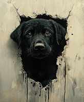 Eyes of Hope