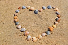 Schelpenhart in het zand von Judith Cool