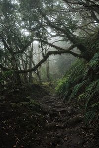 Tenerife