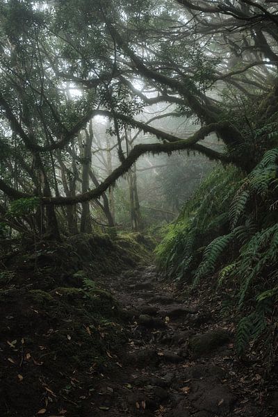 Tenerife by Marvin Schweer