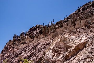 Gesteinsformation im Elqui-Tal