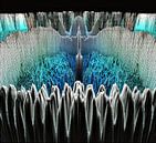 The Gathering van Nina IoKa thumbnail