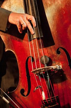 Double bass played by Anouschka Hendriks
