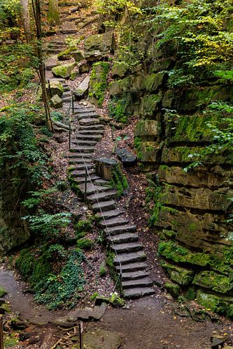 Wandelen via de Müllerthal Trail