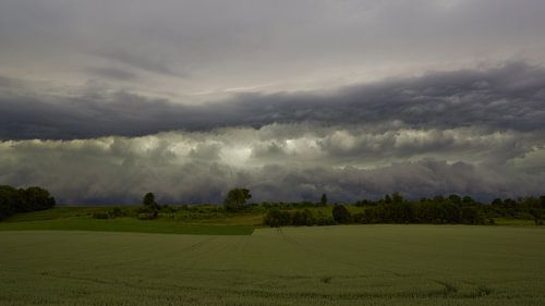 shelfcloud 5