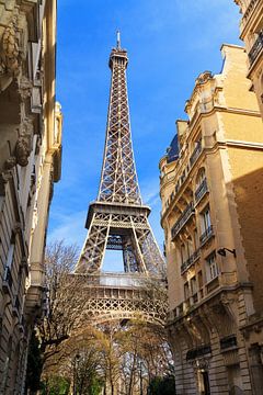 Eiffel Tower Paris from the district by Dennis van de Water