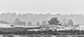 Drunense Duinen 01
