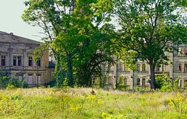 Ruine des Lagergebäudes des Böllberger Mühlen-Komplexes in Halle in Deutschland