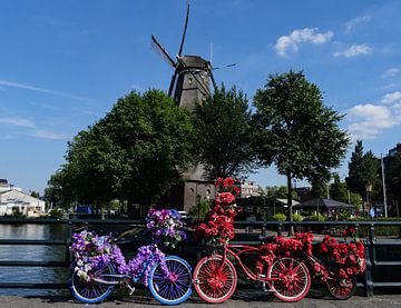 Vélos à fleurs sur Odette Kleeblatt