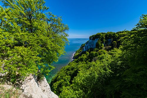 Bij de Königsstuhl met uitzicht op Victoria, eiland Rügen, Nationaal Park Jasmund