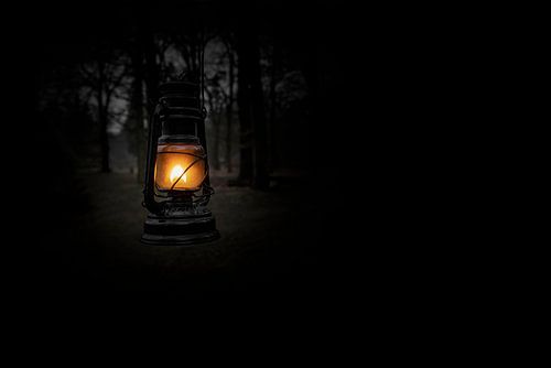 Vintage kerosine olielantaarnlamp brandend met een zacht lichtgevend licht in een donker bos.