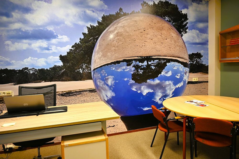 Flying Grove Pine - Lensball - Soester Dunes  by Vinte3Sete 