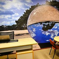 Kundenfoto: Flying Grove Pine - Lensball - Soester Dünen von Vinte3Sete