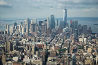 Uitzicht over New York City vanaf Empire State Building van Karin Mooren thumbnail