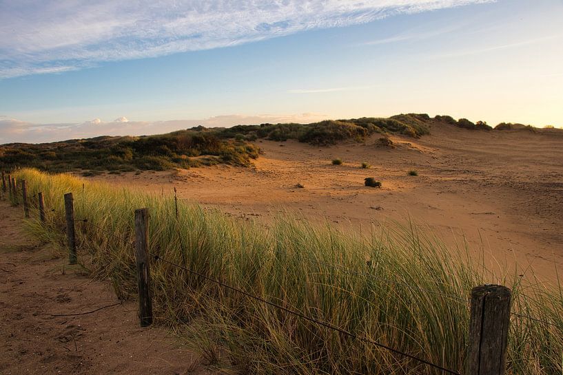 The dune landscape at dawn by Stefan Verheij