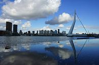 Erasmusbrug Rotterdam par Michel van Kooten Aperçu