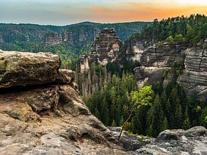 Vue sur la Goldstein, Suisse saxonne - Gorges du Goldlochschlüchte
