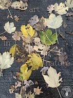 Kunst in der Natur