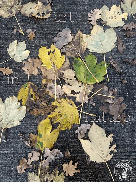 Art in Nature van treesgivepeace.nl