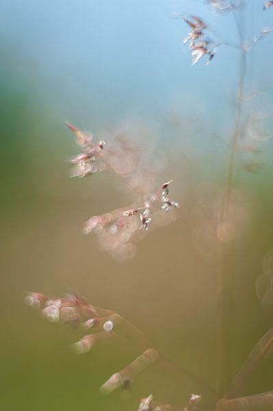 quiet artistic by Hilda van den Burgt