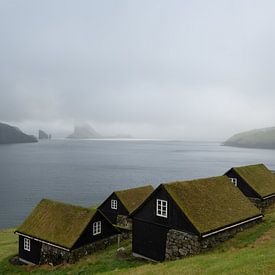 Cottages with a view by André van der Meulen