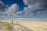 Strandeingang bei Bergen aan Zee in Nordholland
