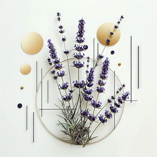 Lavendel