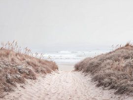 Sentier longeant les dunes du littoral