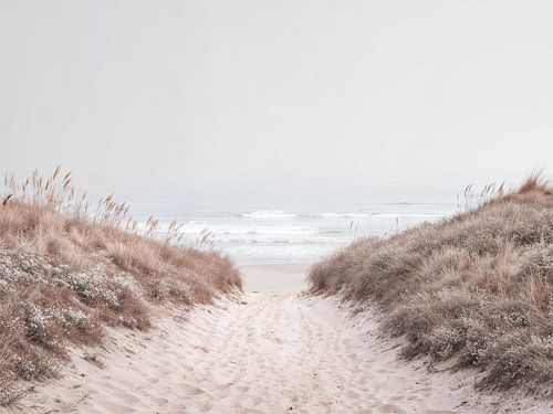Strandweg durch die Küstendünen