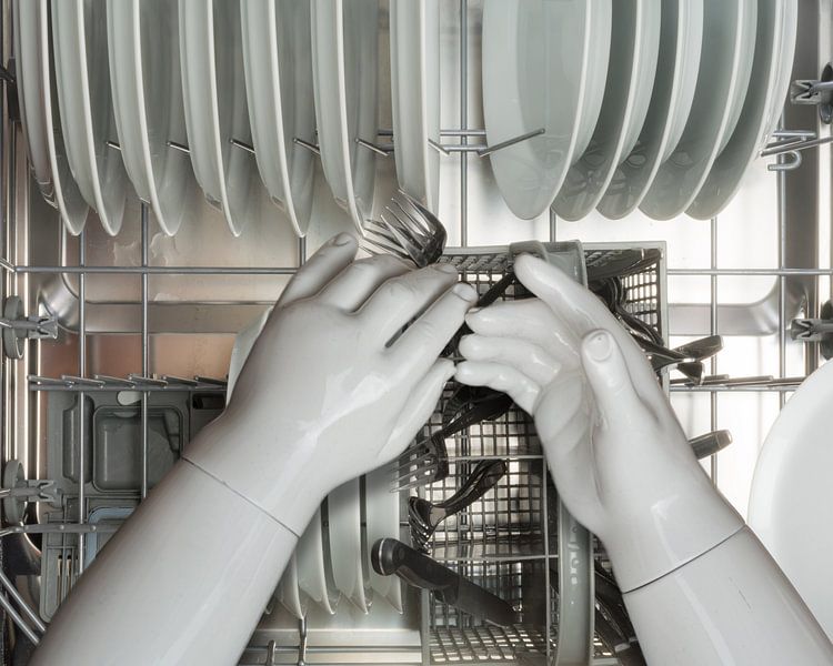 Clean the dishwasher with porcelain hands by Peter Hermus