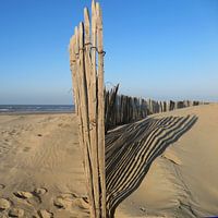 fencing on the beach
