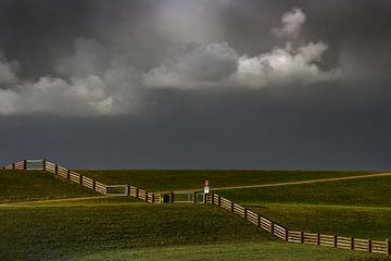 Afscheidingshek op de dijk bij Westhoek, Friesland