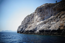 The Rock