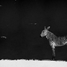 Zebra - Modern & Abstract van MDRN HOME