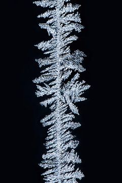 ijs-art-ijskristallen VIIII van Klaartje Majoor