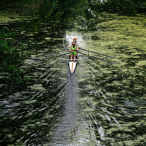 Roein in de natuur