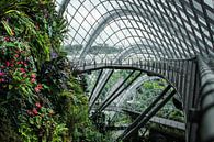 Singapore Cloud Forest, natuur ontmoet architectuur! van Jesper Boot thumbnail