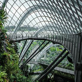 Singapore Cloud Forest, natuur ontmoet architectuur! van Jesper Boot