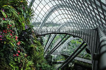 Singapore Cloud Forest, nature meets architeture! by Jesper Boot