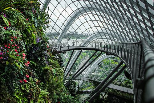 Singapore Cloud Forest, natuur ontmoet architectuur!