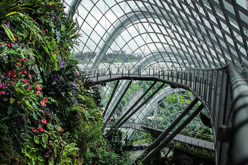 Singapore Cloud Forest, natuur ontmoet architectuur! van Jesper Boot