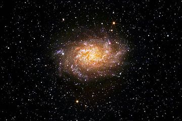 triangulum galaxy - Messier 33 by Monarch C.