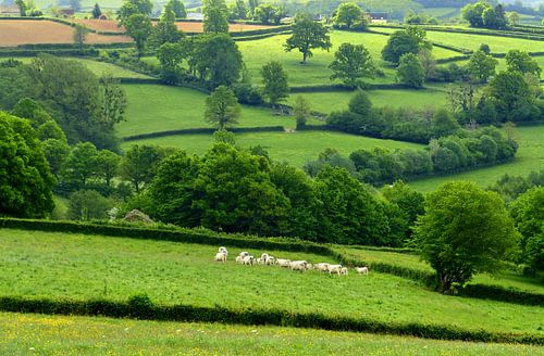 La Douce France... (Frans groen landschap)