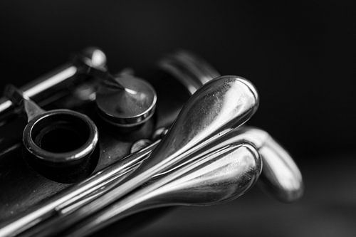 Detail Klarinette (3)