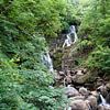 Torc Waterfall ist ein Wasserfall am Fuße des Torc Mountain von Babetts Bildergalerie