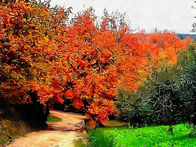 Automne en Ombrie Couleurs d'or par Dorothy Berry-Lound