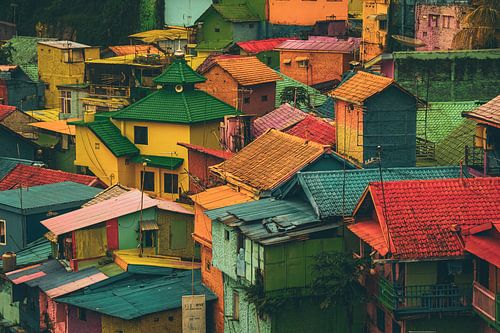 Coloured houses