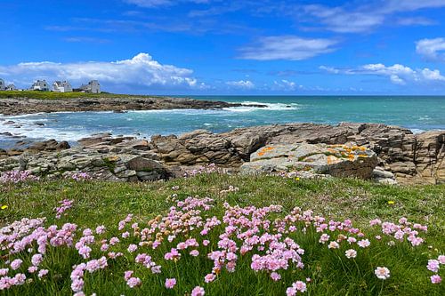 Een zomerdroom in roze en blauw