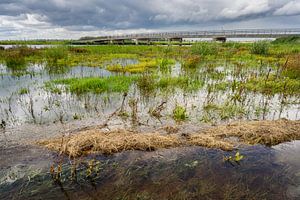 Entlang der Uferpromenade Biesbosch